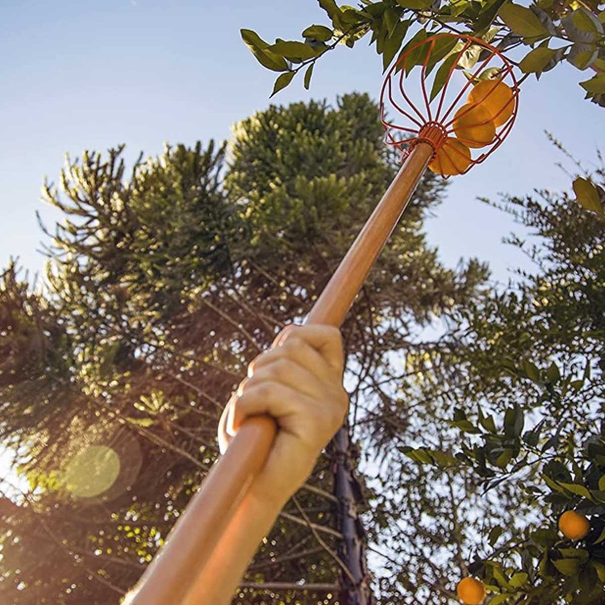 Colhedor de Frutas Médio em Aço sem Cabo Tramontina