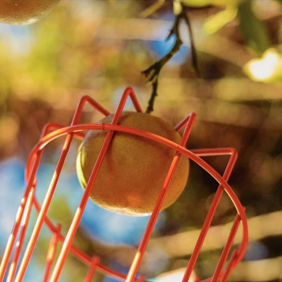 Colhedor de Frutas Médio em Aço sem Cabo Tramontina