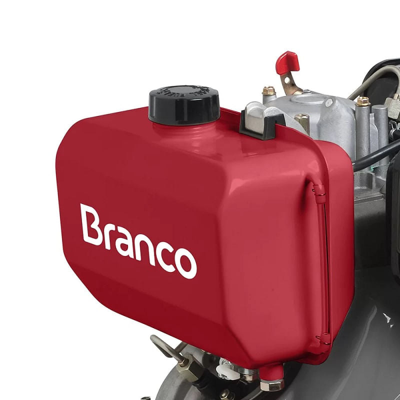 Motor á Diesel 10,0CV BD-10 BRANCO 90311901