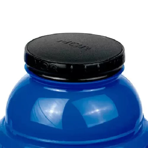 Garrafa Térmica Mor 01L Use Azul