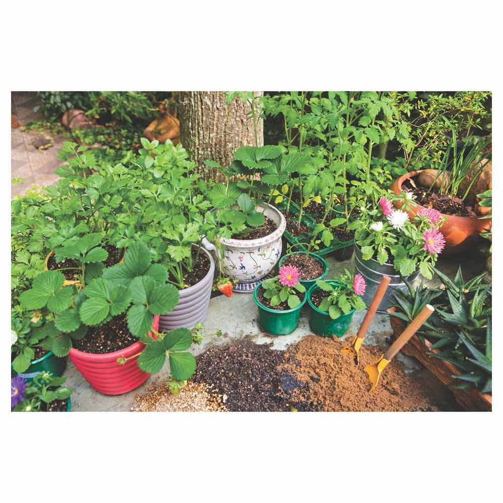 Vaso para Flores Cinza 1,7L Tramontina